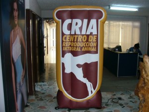 colchon inflable silueteado